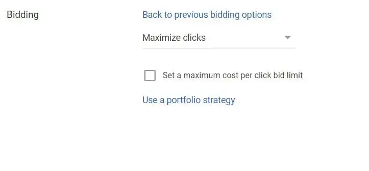 google ads bidding3